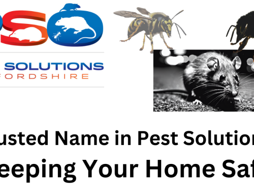 Trusted Name in Pest Solutions: Keeping Your Home Safe