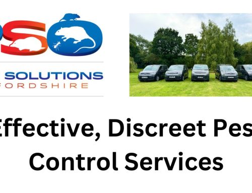 Effective, Discreet Pest Control Services