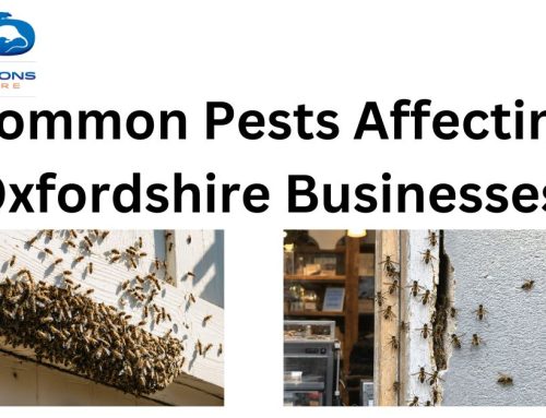 Common Pests Affecting Oxfordshire Businesses