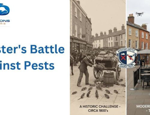 Bicester’s Battle Against Pests