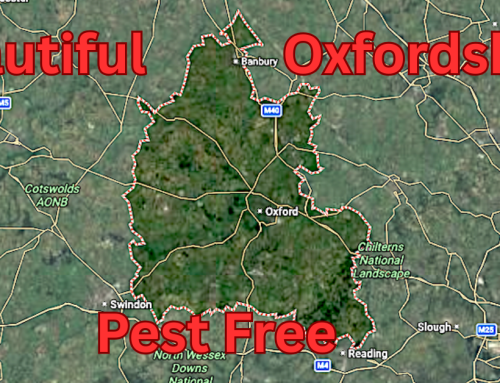 Discover the Beauty of Oxfordshire and Keep It Pest-Free