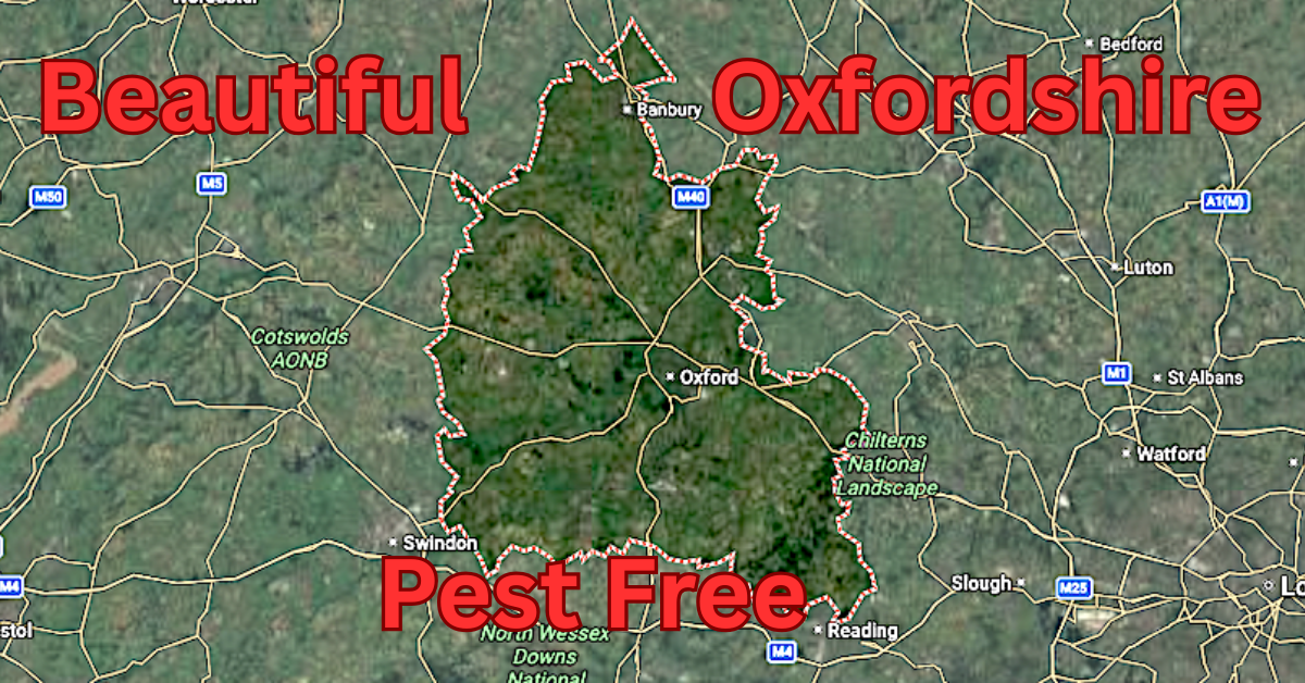 Beautiful Oxfordshire - Pest free